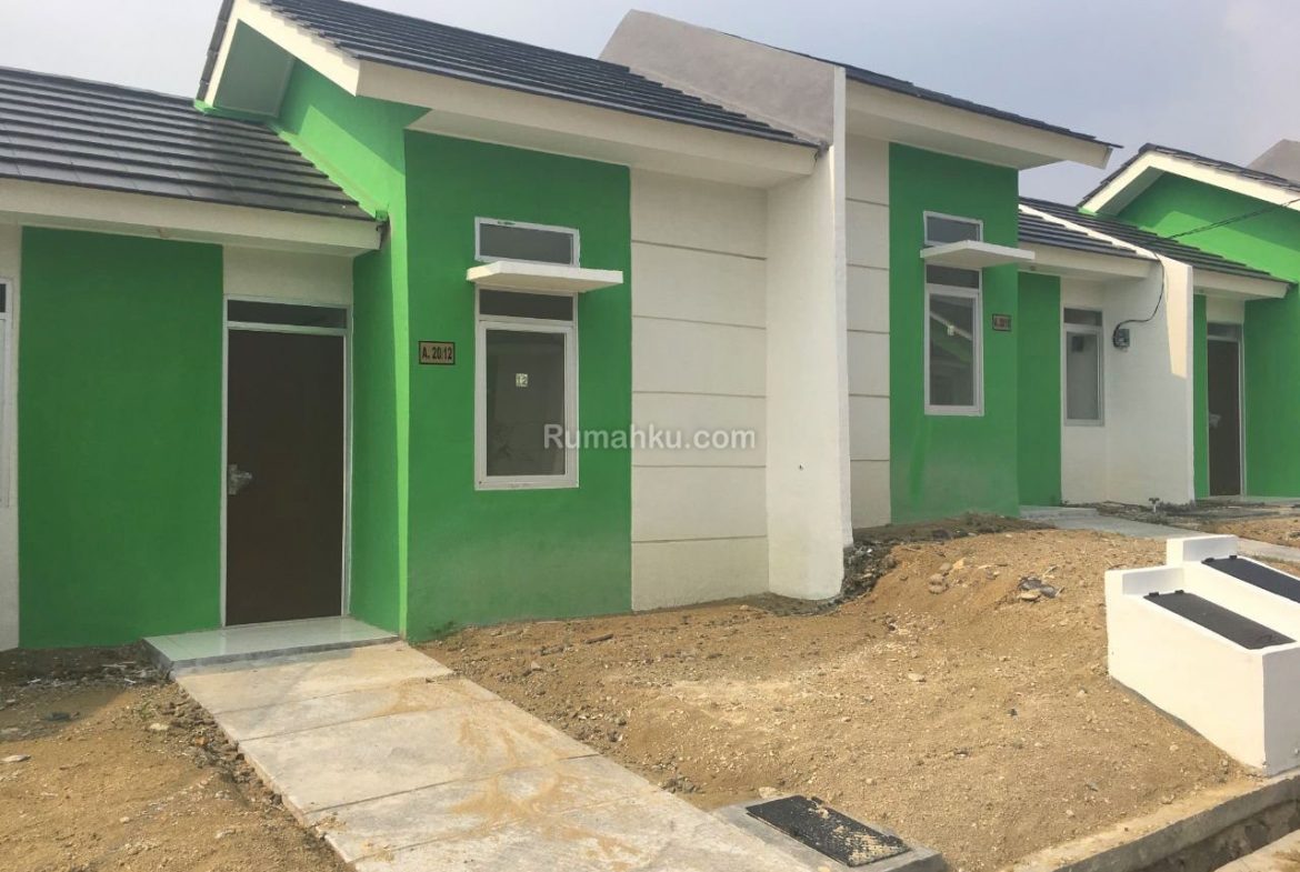 Citra maja springfield