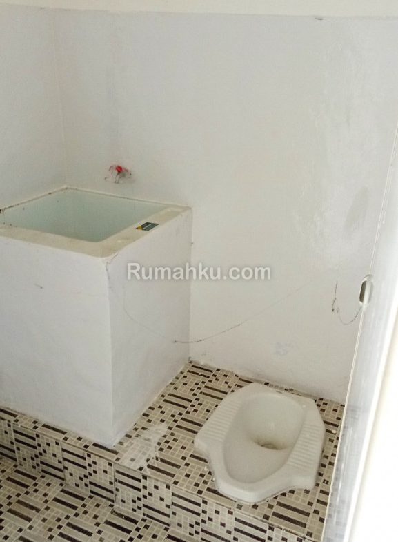 Citra maja springfield