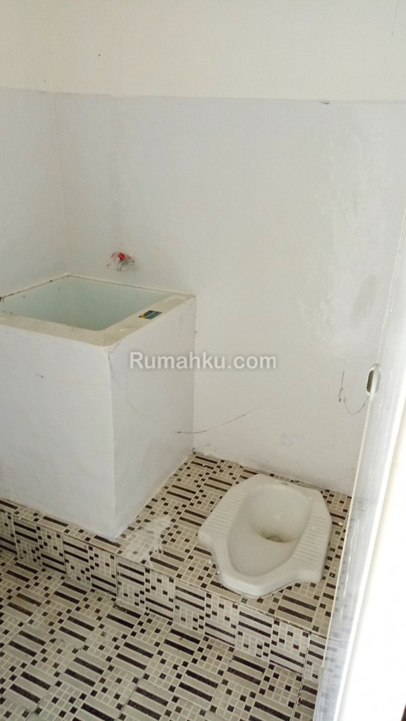 Citra maja springfield