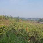 Tanah di Parungkuda Sukabumi