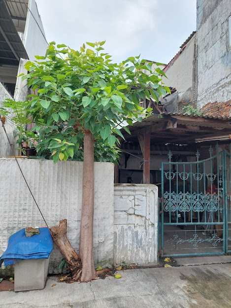 kaveling komplek thi